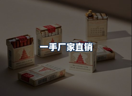 专业团队办公环境